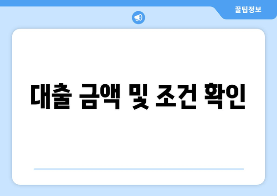 대출 금액 및 조건 확인