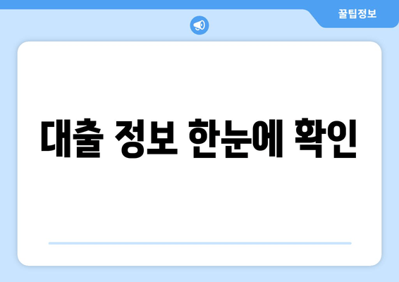 대출 정보 한눈에 확인