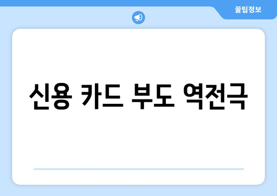 신용 카드 부도 역전극