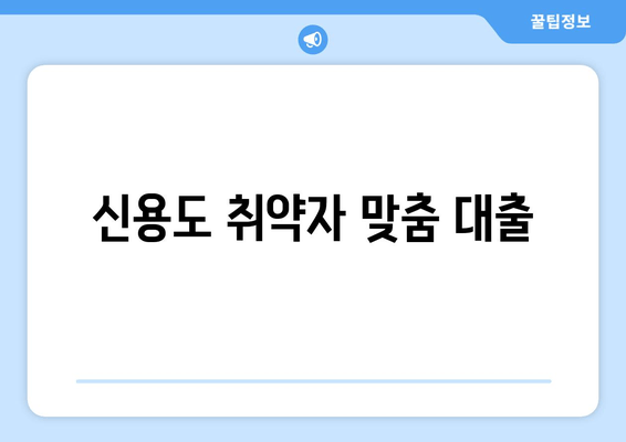 신용도 취약자 맞춤 대출