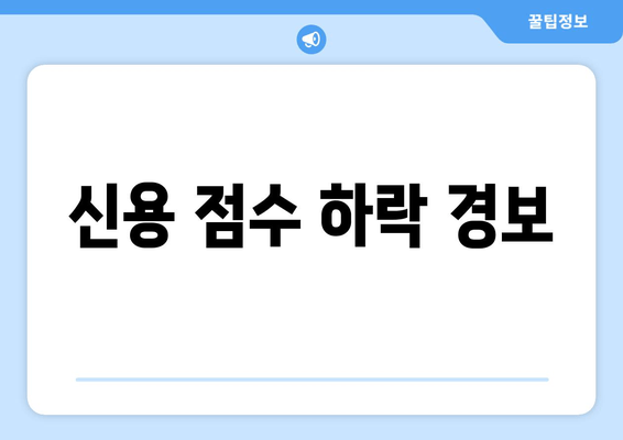 신용 점수 하락 경보