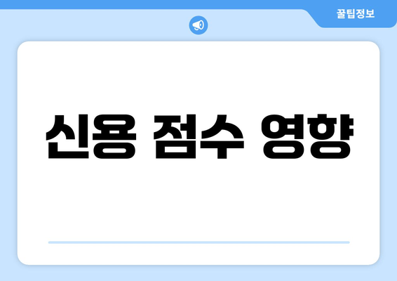 신용 점수 영향