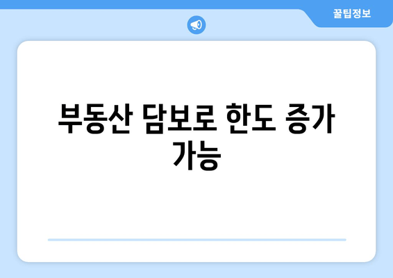 부동산 담보로 한도 증가 가능