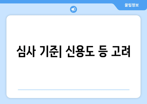 심사 기준| 신용도 등 고려