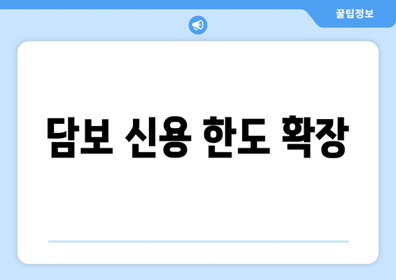 담보 신용 한도 확장