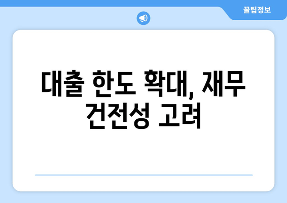 대출 한도 확대, 재무 건전성 고려