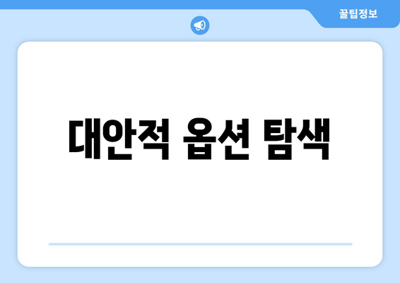 대안적 옵션 탐색