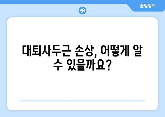 허벅지 앞쪽 통증, 대퇴사두근 손상 의심? 원인과 대처법 알아보기 | 운동, 재활, 치료