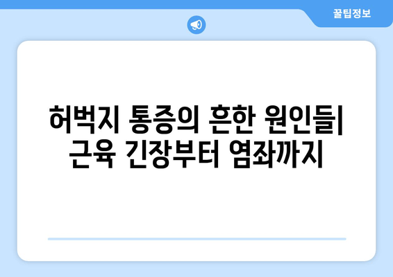 오른쪽 또는 왼쪽 허벅지 근육 통증| 원인 분석 및 해결 방안 | 허벅지 통증, 근육 통증, 운동 부상, 통증 원인 파악