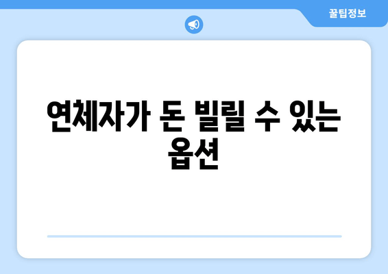 연체자가 돈 빌릴 수 있는 옵션