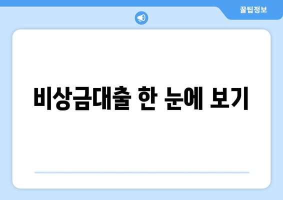 비상금대출 한 눈에 보기