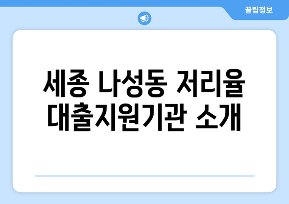 세종 나성동 저리율 대출지원기관 소개