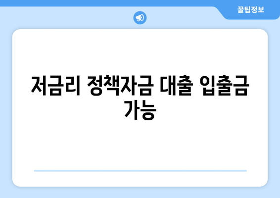 저금리 정책자금 대출 입출금 가능