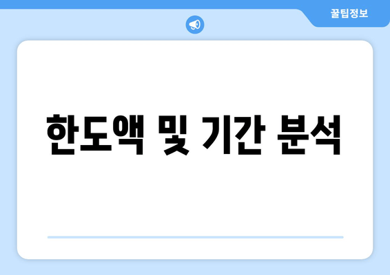 한도액 및 기간 분석