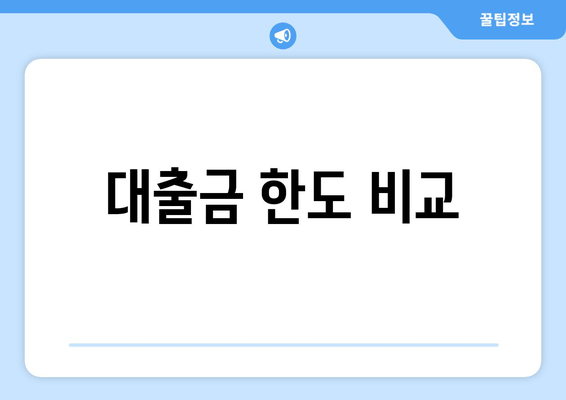 대출금 한도 비교