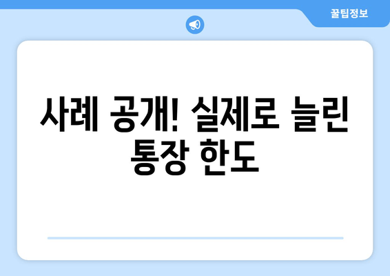 사례 공개! 실제로 늘린 통장 한도