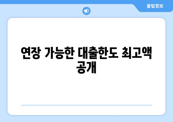 연장 가능한 대출한도 최고액 공개