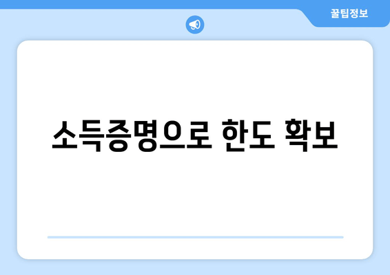 소득증명으로 한도 확보