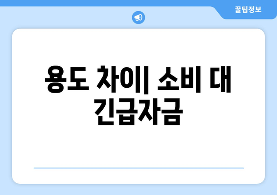 용도 차이| 소비 대 긴급자금