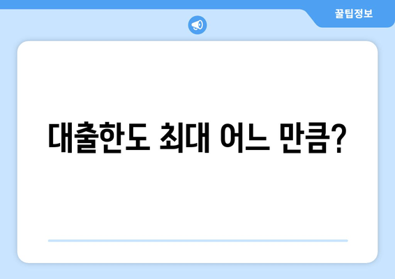 대출한도 최대 어느 만큼?