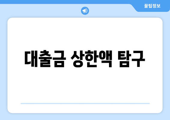 대출금 상한액 탐구