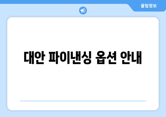 대안 파이낸싱 옵션 안내