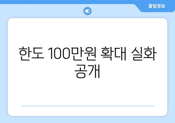 한도 100만원 확대 실화 공개