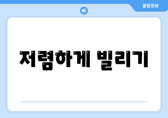 저렴하게 빌리기