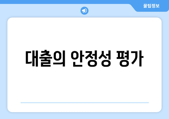 대출의 안정성 평가