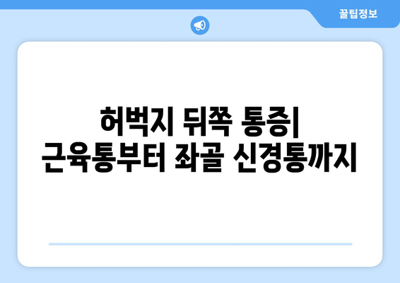 허벅지 통증, 앞쪽과 뒤쪽 부위별 원인과 해결책 | 허벅지 통증 원인, 허벅지 통증 해소, 운동 부상, 좌골 신경통, 근육통