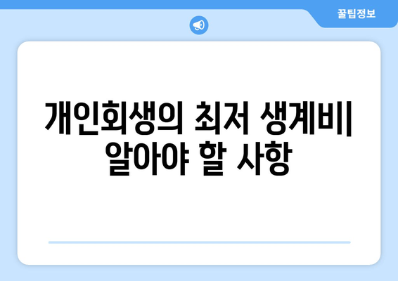 개인회생의 최저 생계비| 알아야 할 사항