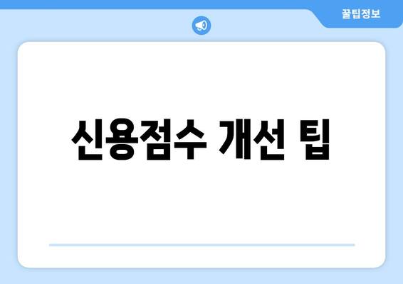 신용점수 개선 팁