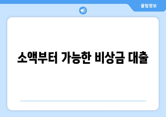 소액부터 가능한 비상금 대출