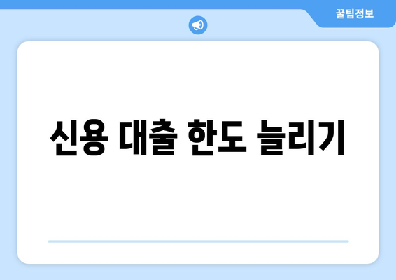 신용 대출 한도 늘리기