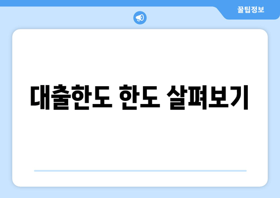 대출한도 한도 살펴보기