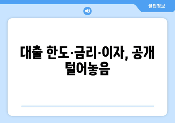 대출 한도·금리·이자, 공개 털어놓음