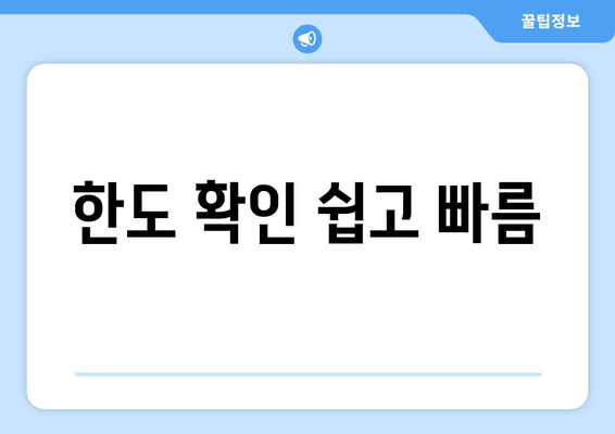 한도 확인 쉽고 빠름