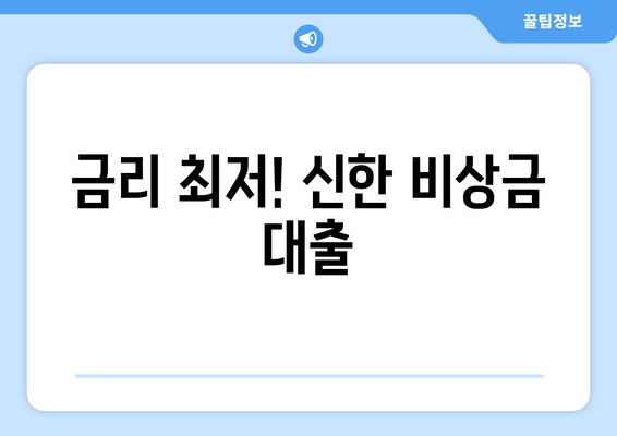 금리 최저! 신한 비상금 대출