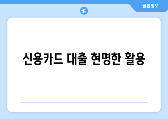 신용카드 대출 현명한 활용