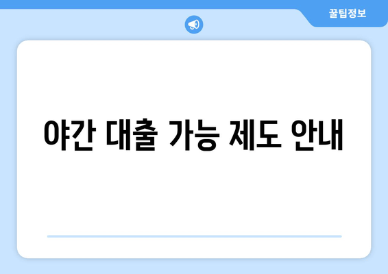 야간 대출 가능 제도 안내