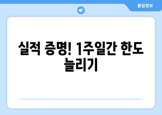 실적 증명! 1주일간 한도 늘리기