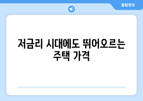 저금리 시대에도 뛰어오르는 주택 가격