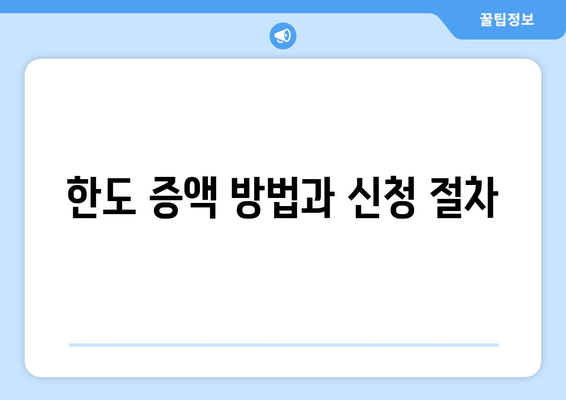 한도 증액 방법과 신청 절차