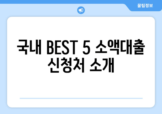 국내 BEST 5 소액대출 신청처 소개