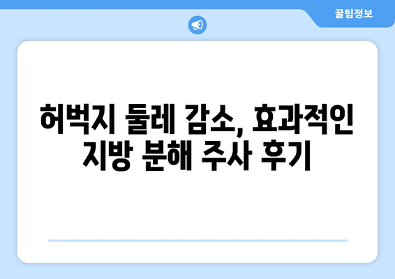 허벅지 셀룰라이트, 지방 흡입 없이 3cm 감소시키는 지방 분해 주사 효과 | 셀룰라이트 제거, 허벅지 둘레 감소, 비용, 후기