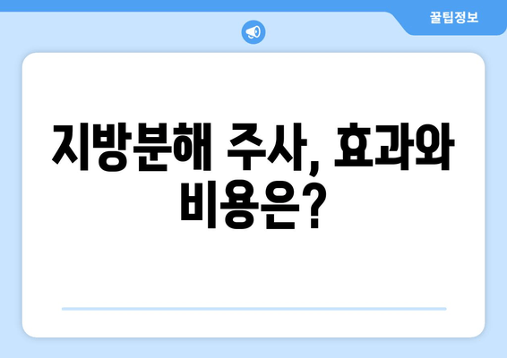 허벅지 셀룰라이트 고민, 이제 그만! 지방분해 주사로 탄탄하고 매끈한 허벅지 만들기 | 셀룰라이트, 지방분해, 허벅지 둘레 줄이기, 비용, 효과, 후기