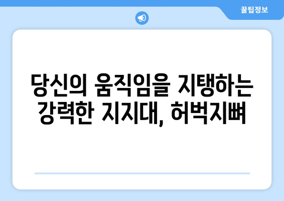 허벅지 뼈| 당신의 움직임을 지탱하는 핵심, 허벅지뼈와 무릎뼈의 중요성 | 해부학, 기능, 건강