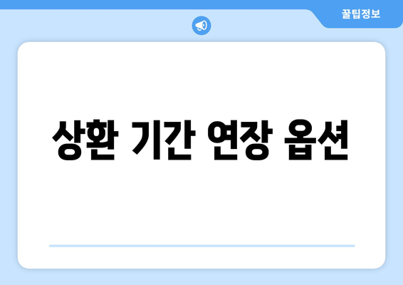 상환 기간 연장 옵션