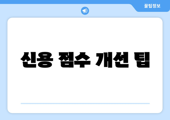 신용 점수 개선 팁