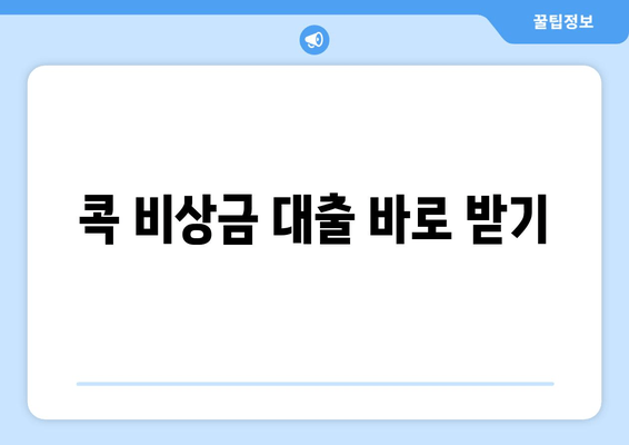 콕 비상금 대출 바로 받기